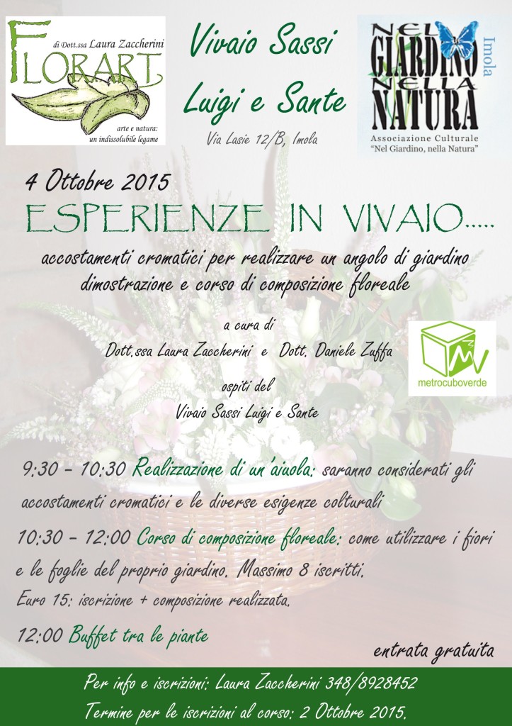 pubblicità evento da sassi